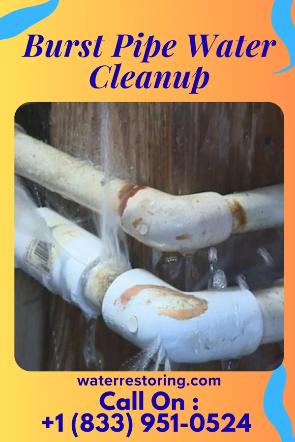 Burst Pipe Water Cleanup in Jersey, OH