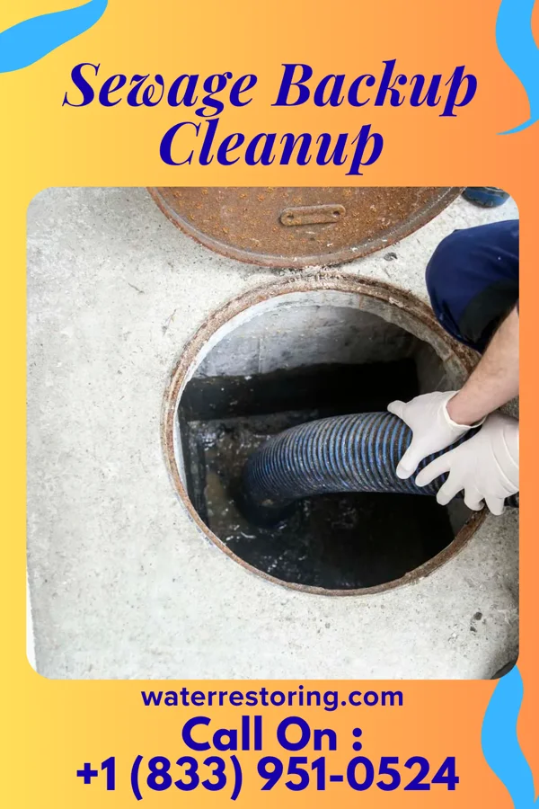 Sewage Backup Cleanup in Jersey, OH