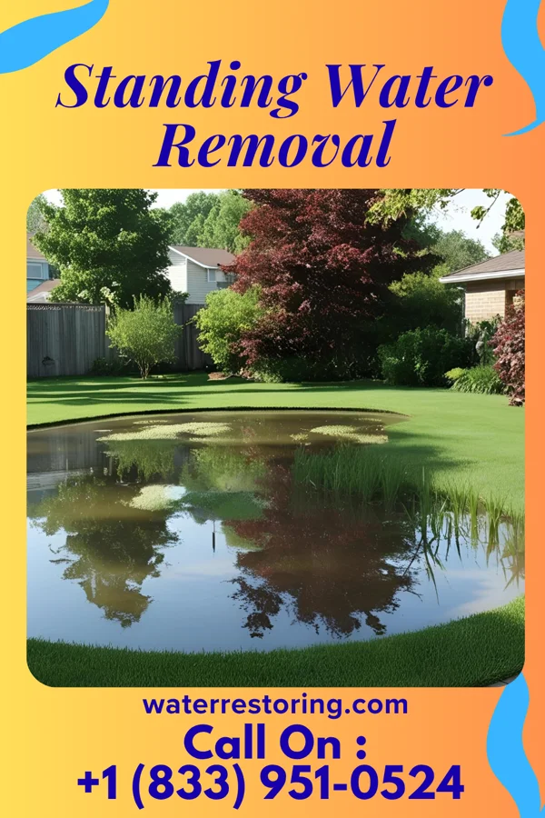 Standing Water Removal in Jersey, OH